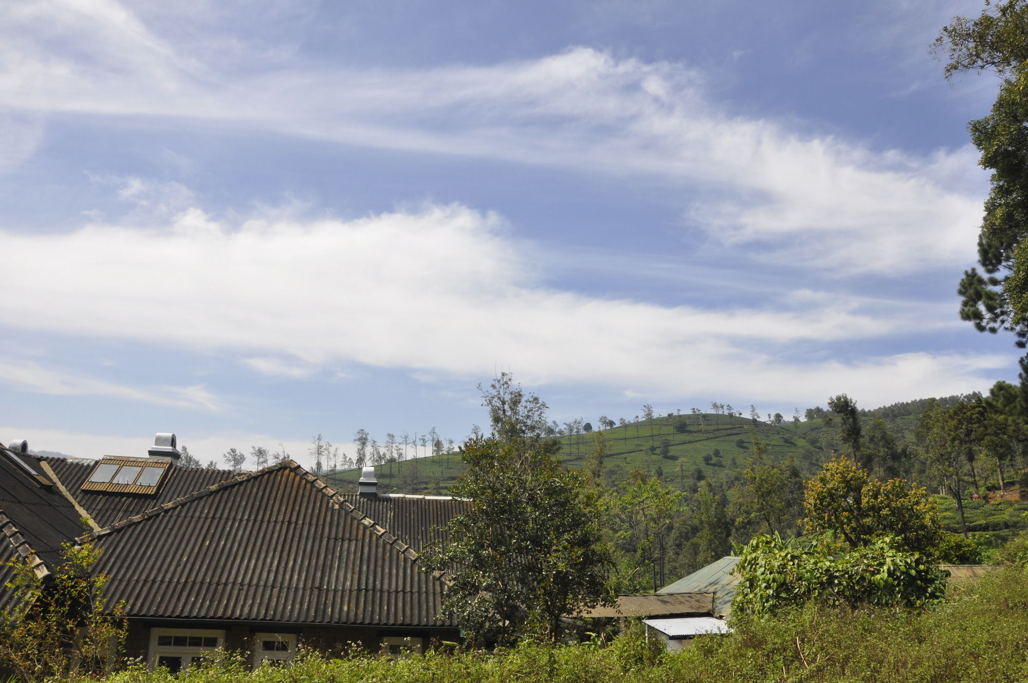 Scottish Planter Bungalow- Thema Collection Villa Nuwara Eliya Exterior foto